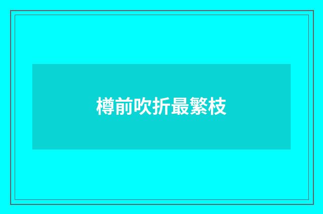 樽前吹折最繁枝