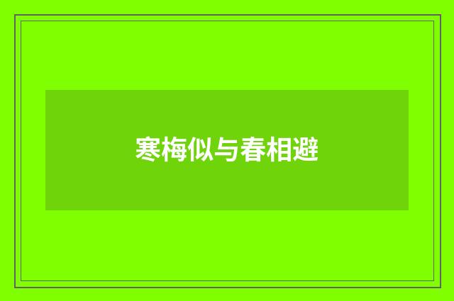 寒梅似与春相避