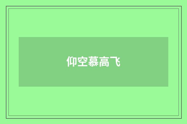 仰空慕高飞