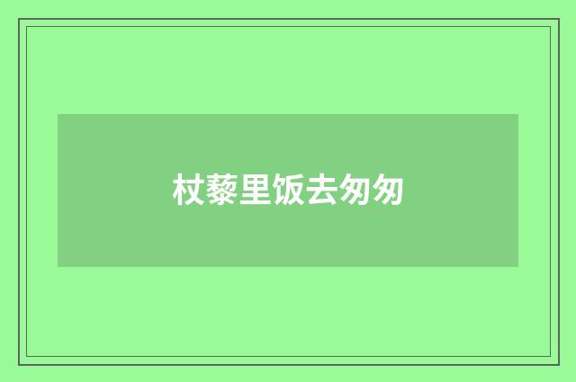 杖藜里饭去匆匆