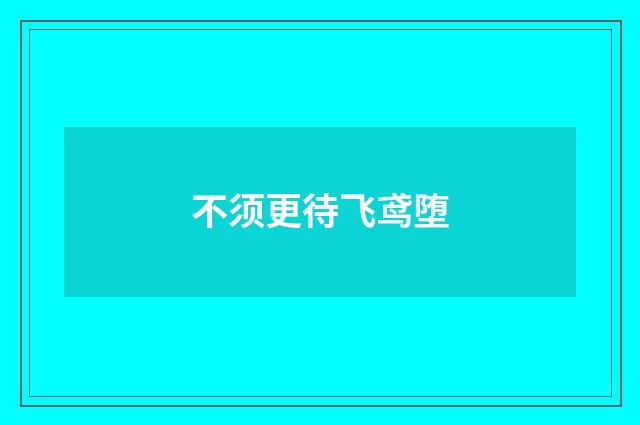 不须更待飞鸢堕