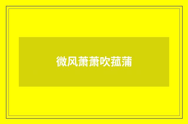 微风萧萧吹菰蒲
