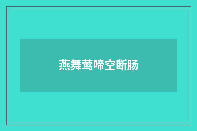 燕舞莺啼空断肠