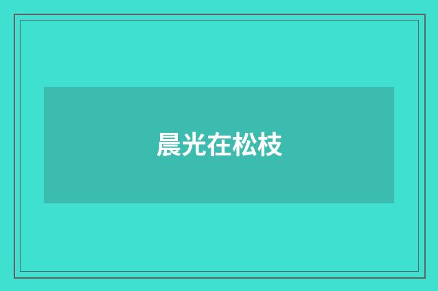晨光在松枝