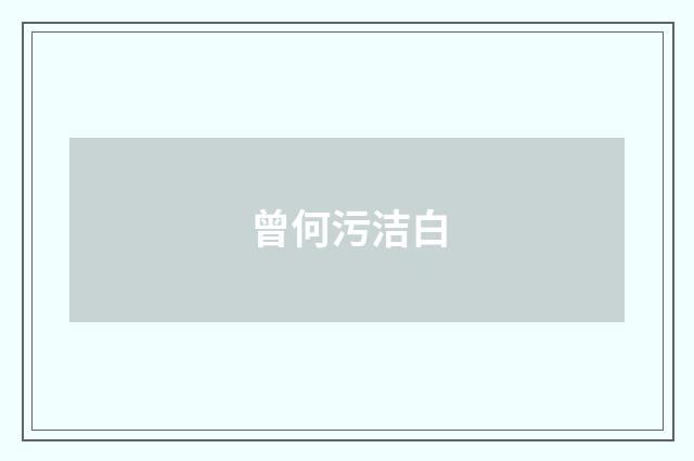曾何污洁白