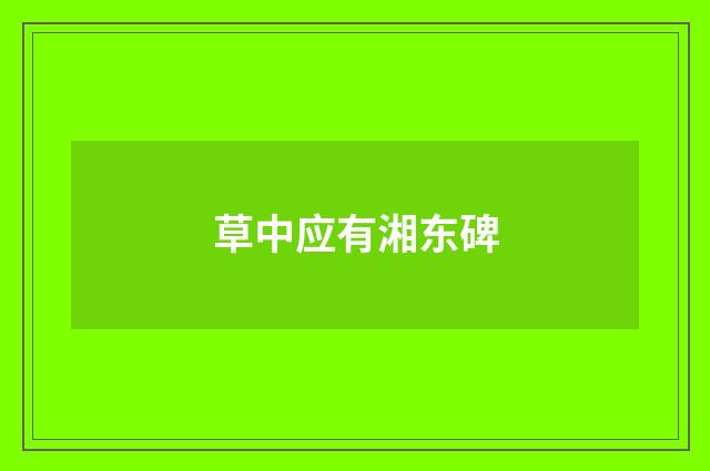 草中应有湘东碑