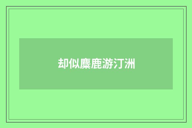 却似麋鹿游汀洲