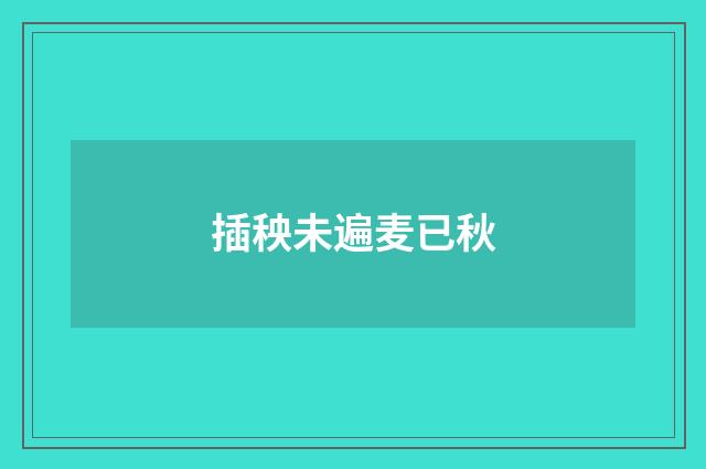 插秧未遍麦已秋