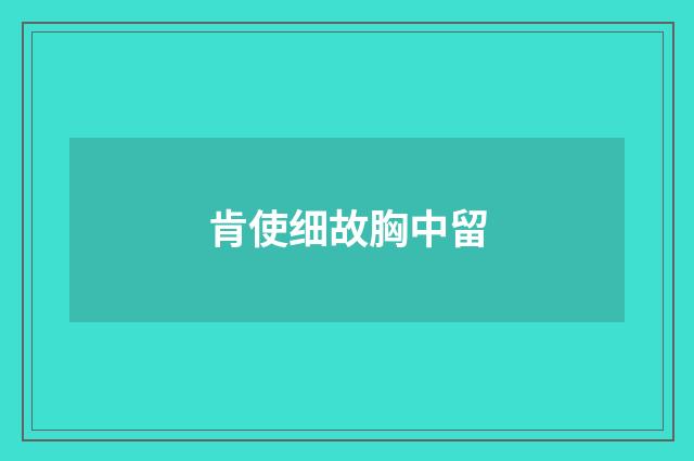 肯使细故胸中留