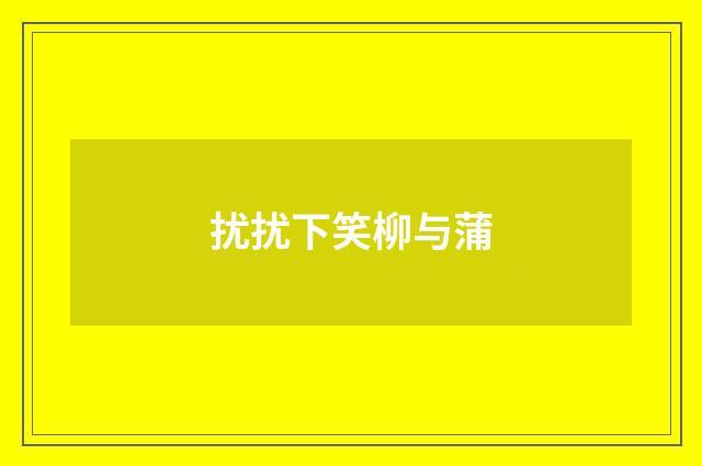 扰扰下笑柳与蒲
