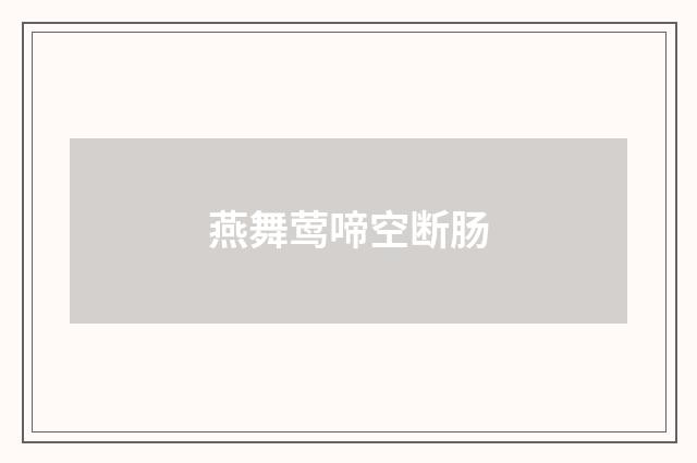 燕舞莺啼空断肠