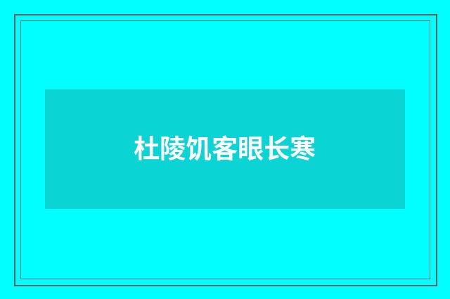 杜陵饥客眼长寒