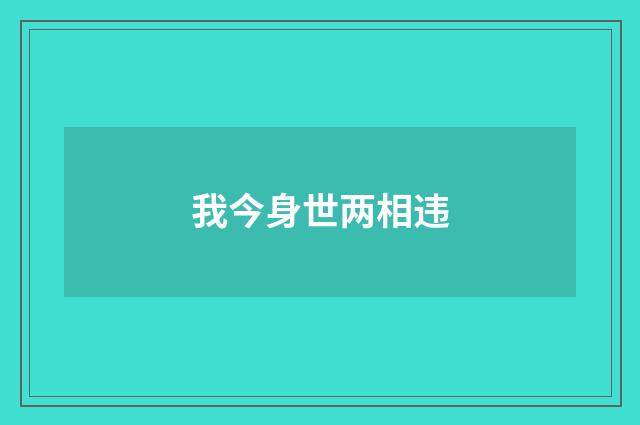 我今身世两相违