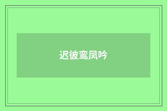迟彼鸾凤吟