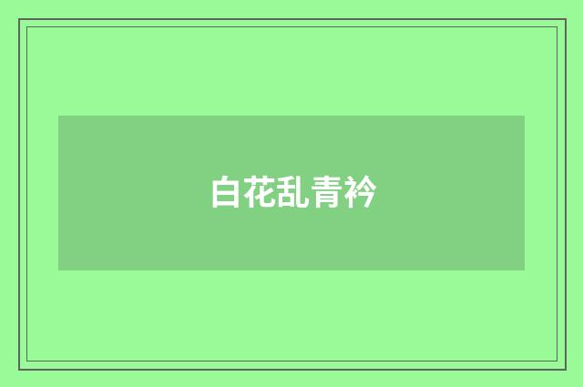 白花乱青衿
