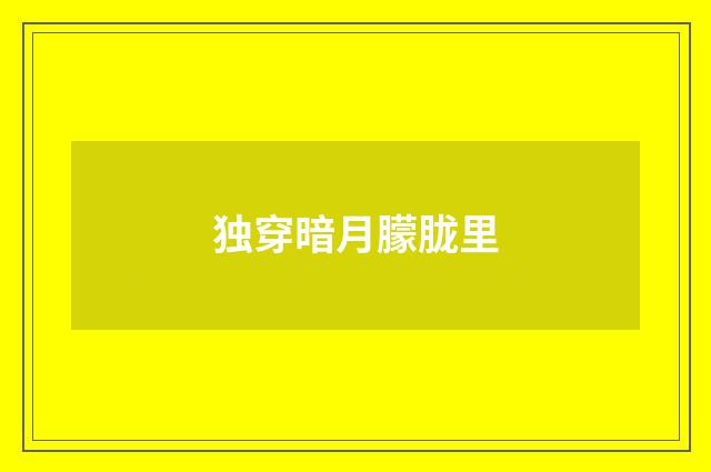 独穿暗月朦胧里