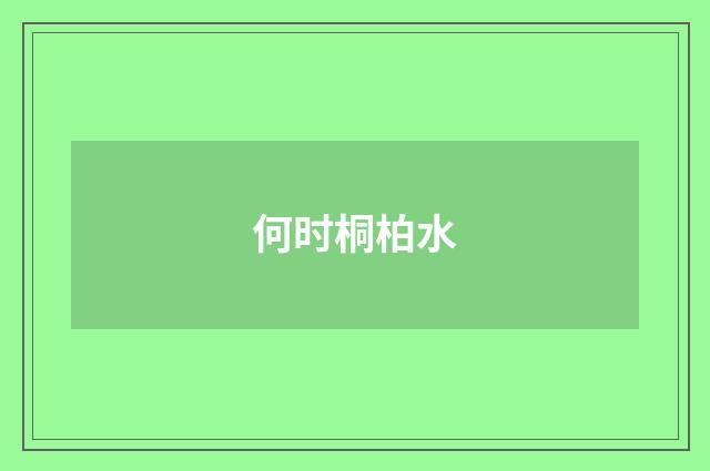 何时桐柏水
