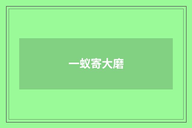 一蚁寄大磨
