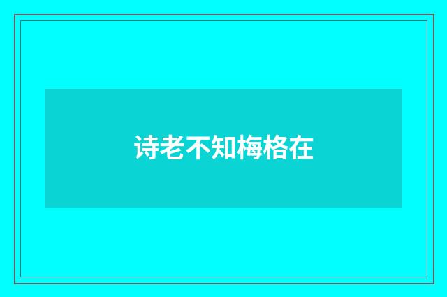 诗老不知梅格在