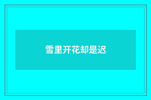 雪里开花却是迟