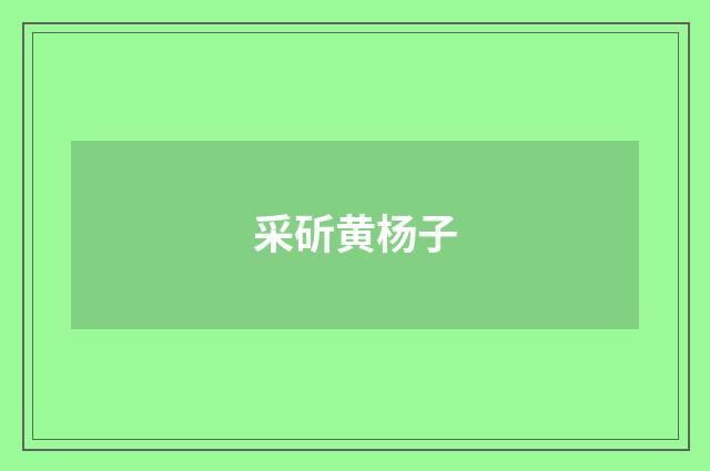 采斫黄杨子
