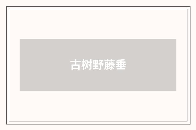 古树野藤垂
