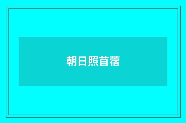 朝日照苜蓿