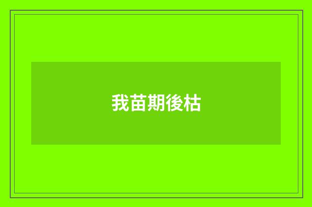 我苗期後枯