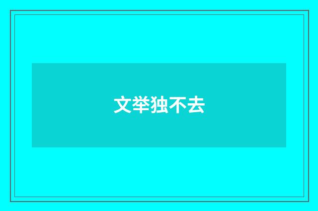 文举独不去