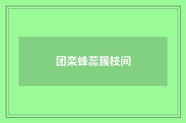 团栾蜂蕊簇枝间