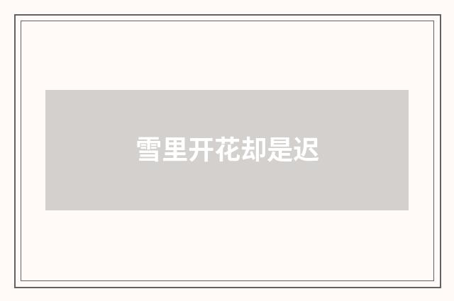 雪里开花却是迟