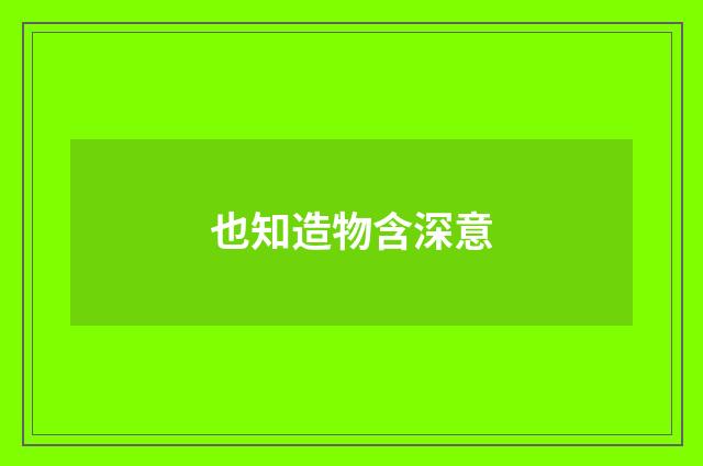 也知造物含深意