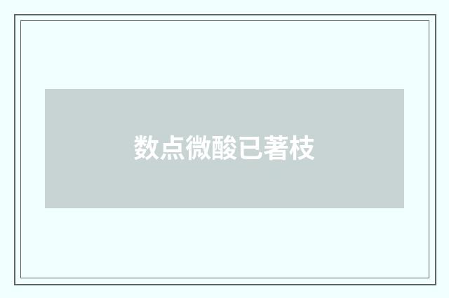 数点微酸已著枝