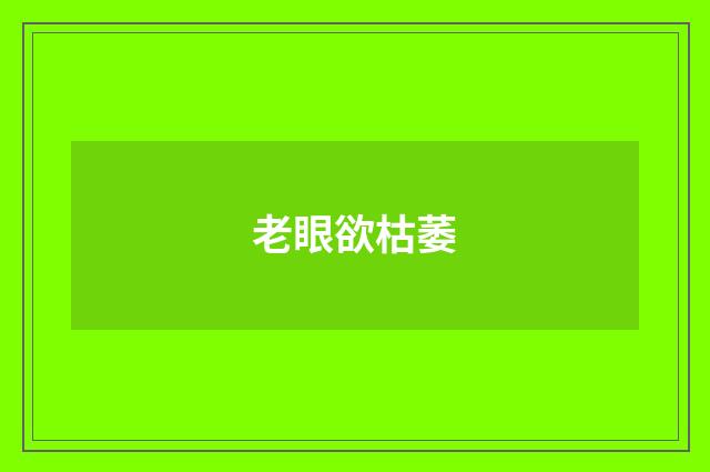 老眼欲枯萎