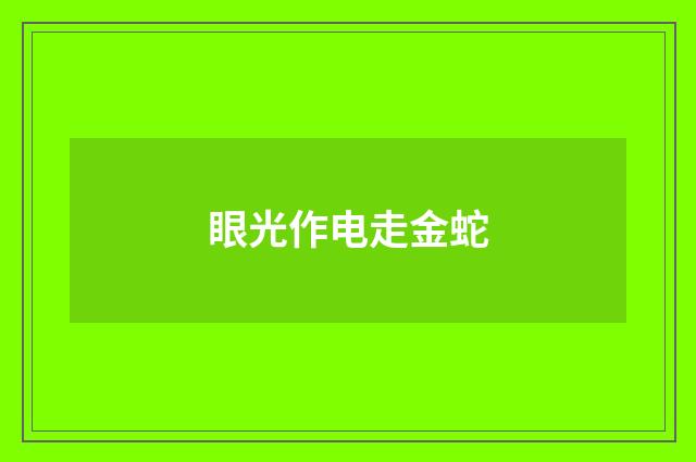 眼光作电走金蛇