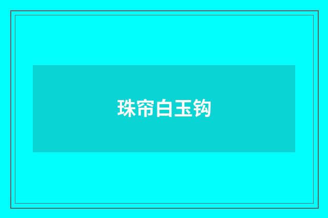 珠帘白玉钩