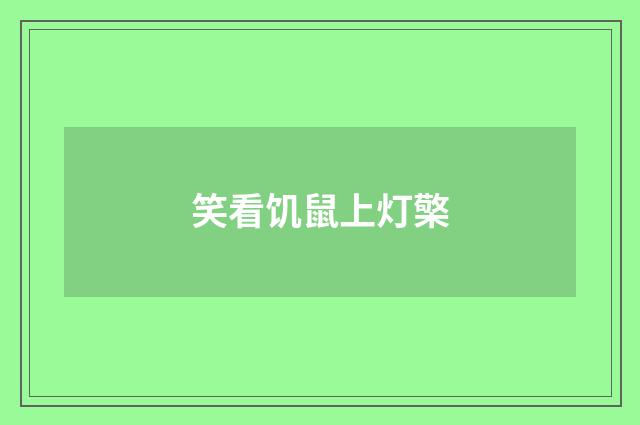 笑看饥鼠上灯檠