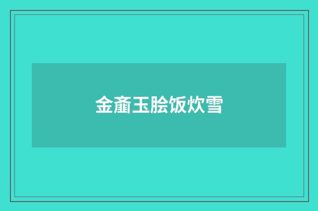 金齑玉脍饭炊雪