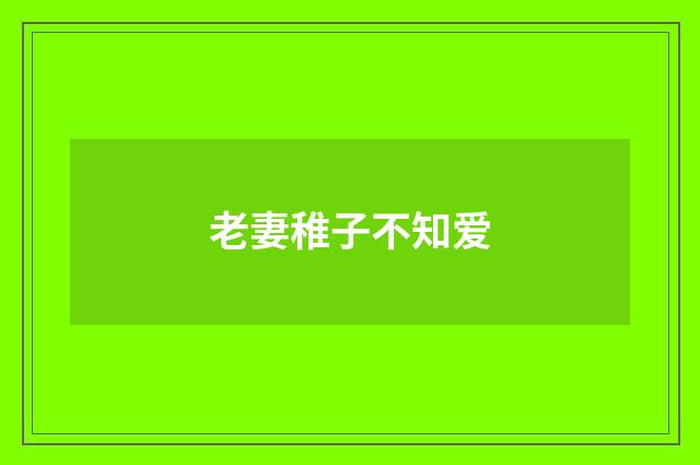 老妻稚子不知爱