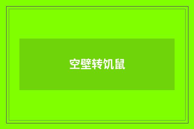 空壁转饥鼠