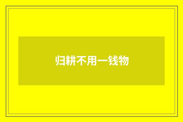 归耕不用一钱物