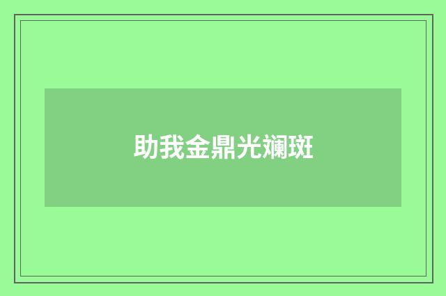 助我金鼎光斓斑