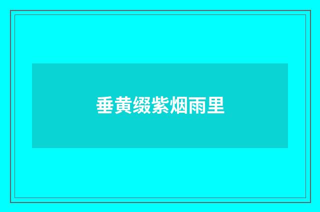 垂黄缀紫烟雨里