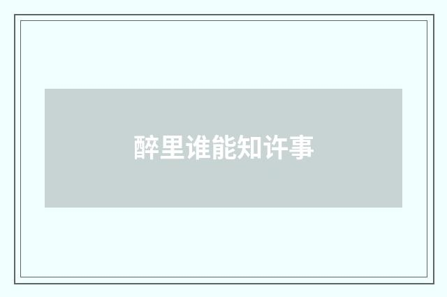 醉里谁能知许事
