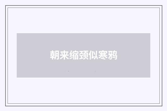 朝来缩颈似寒鸦