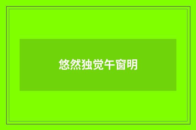 悠然独觉午窗明