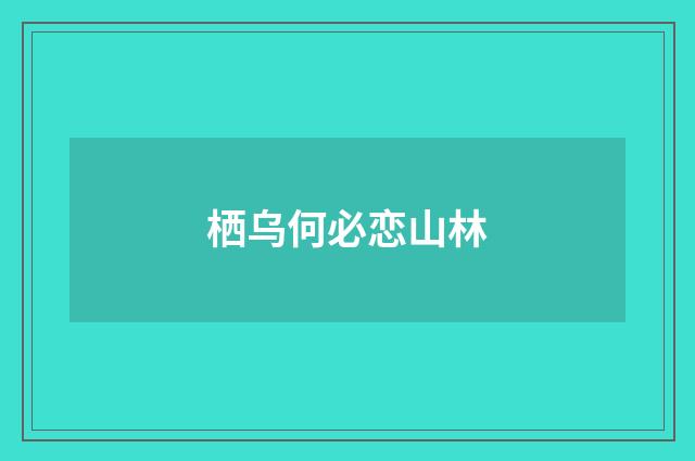 栖乌何必恋山林