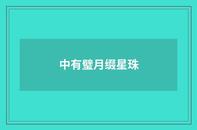 中有璧月缀星珠