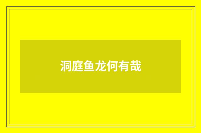 洞庭鱼龙何有哉