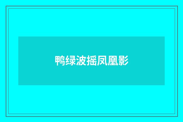 鸭绿波摇凤凰影